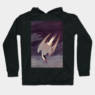 Arctic Tern Hoodie